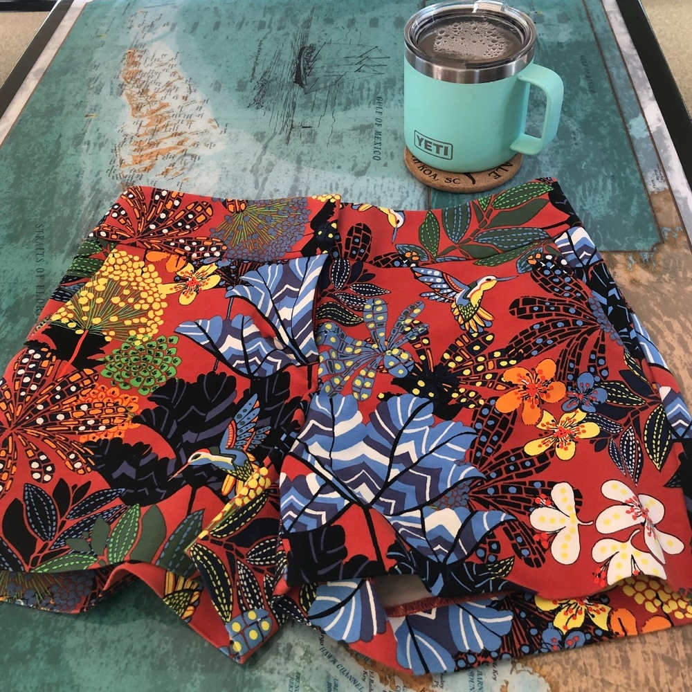 🌻Ann Taylor Loft Riviera Shorts, size 00🌻